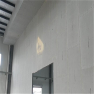 周村宁波ALC板|EPS加气板隔墙与混凝土整浇联接的实验研讨